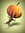 Dog pumpkin